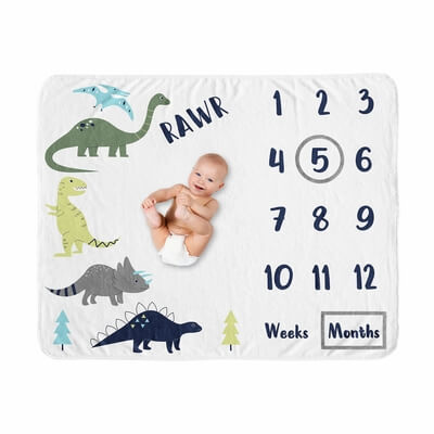 Milestone Blankets