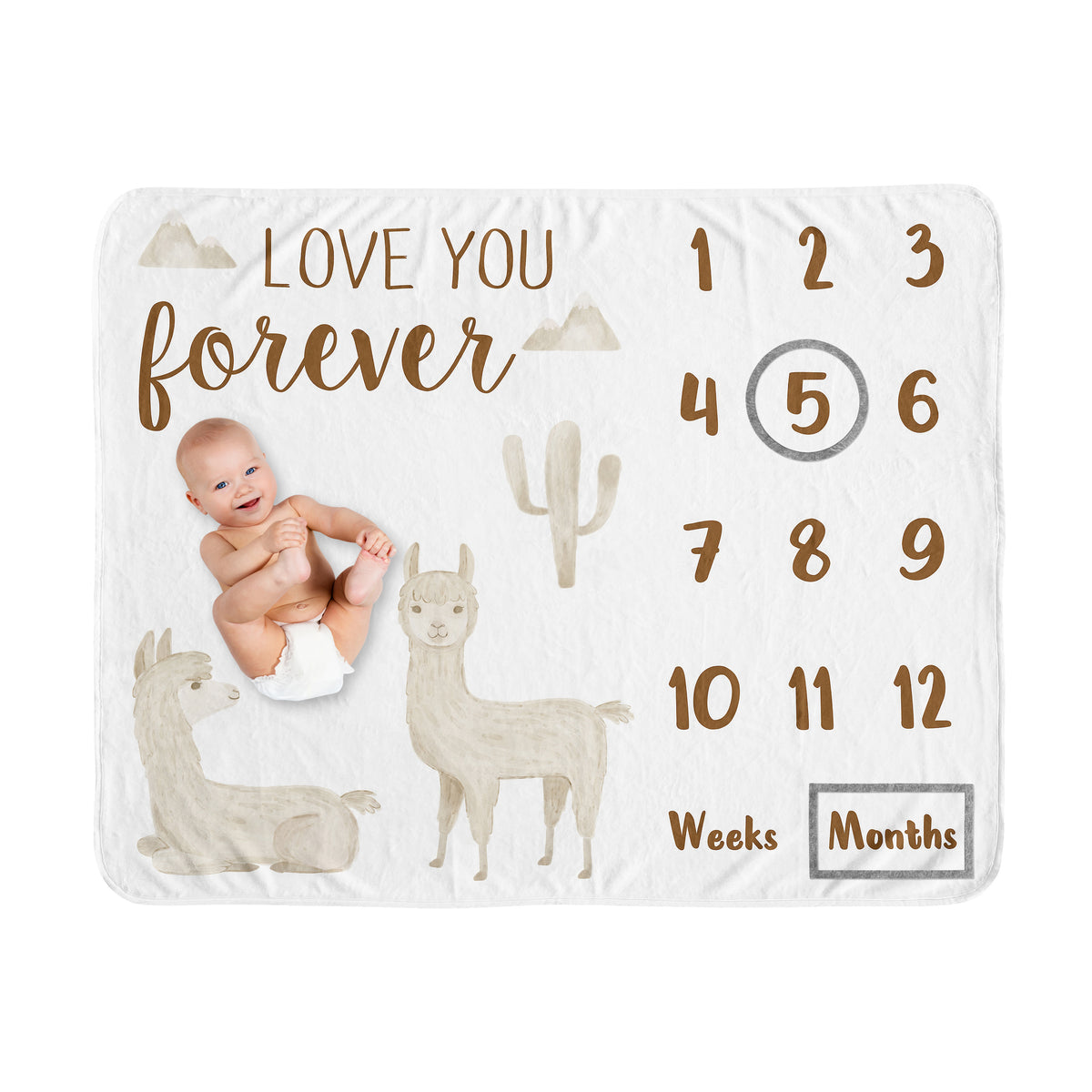 Boho Llama Collection Monthly Milestone Baby Blanket