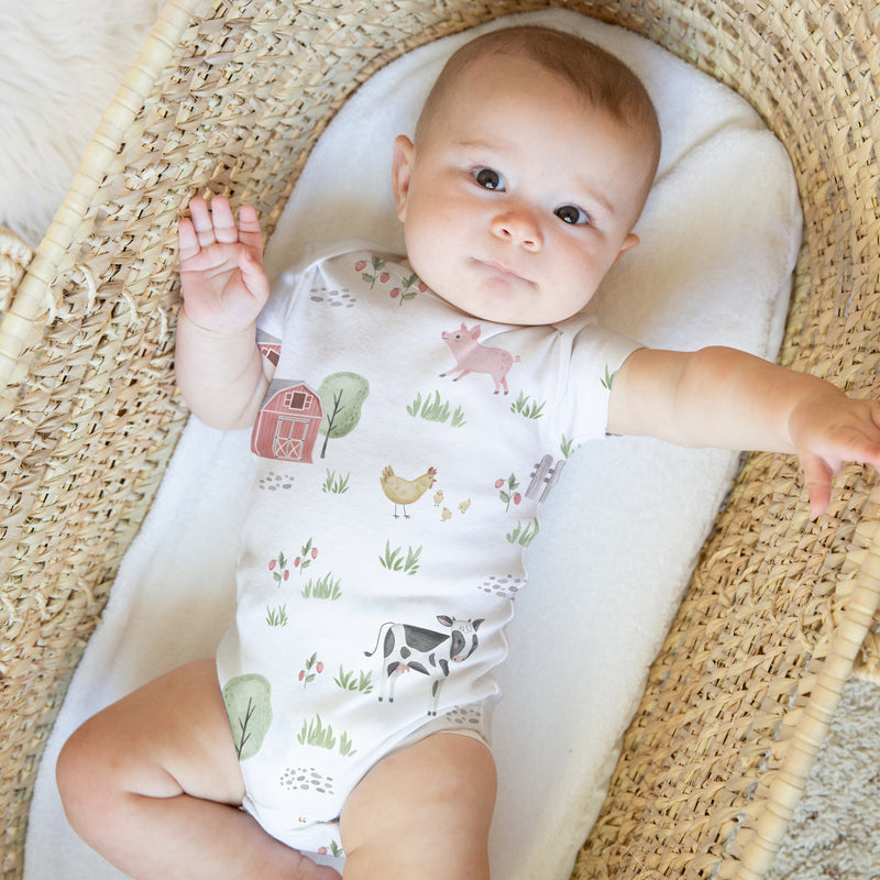 Farm Animals Collection 6-12M Baby Clothes Bodysuits - 2 Pack Set