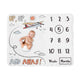 Airplane Red and Blue Collection Monthly Milestone Baby Blanket