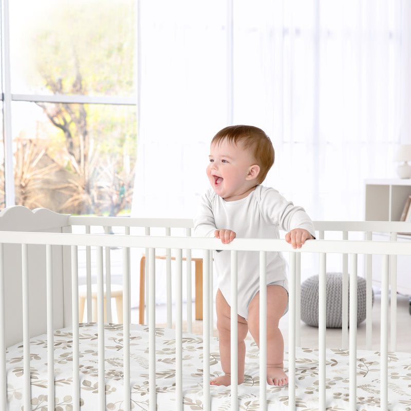 Botanical Taupe Collection 2 Pack Crib Sheets