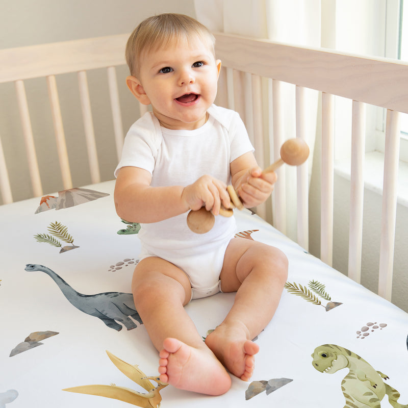 Watercolor Dinosaur Dino Collection 2 Pack Crib Sheets