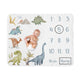 Watercolor Dinosaur Dino Collection Monthly Milestone Baby Blanket