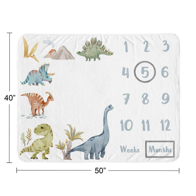 Watercolor Dinosaur Dino Collection Monthly Milestone Baby Blanket