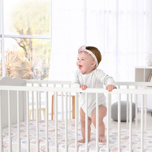 Butterfly Collection Crib Sheet