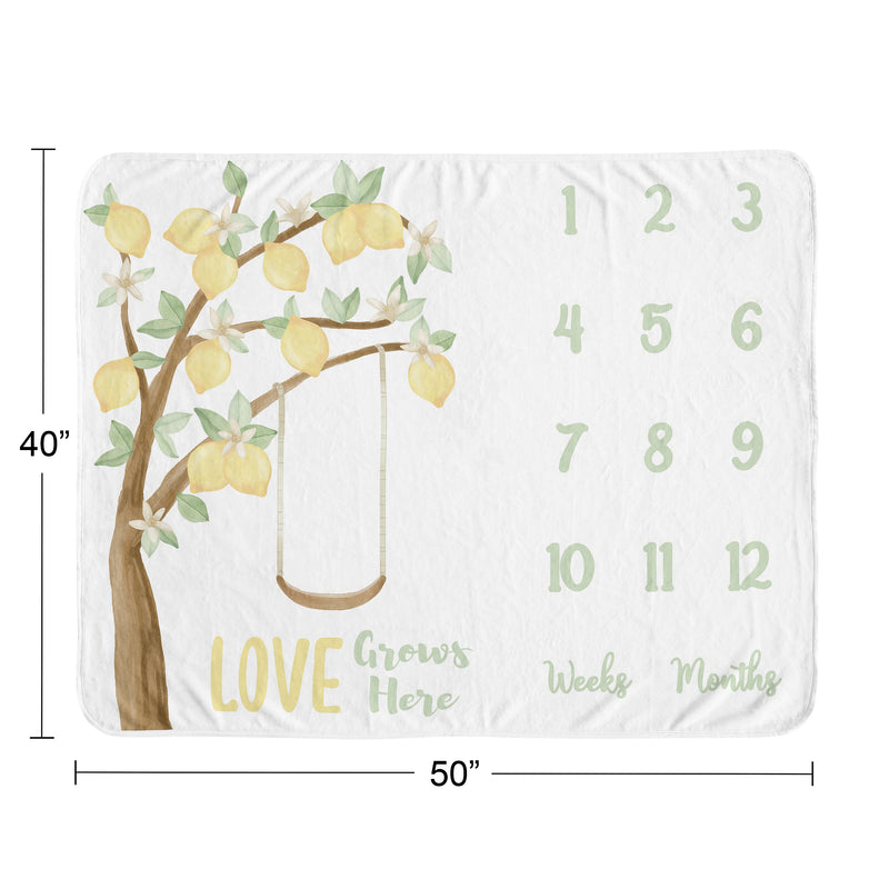 Lemon Collection Monthly Milestone Baby Blanket