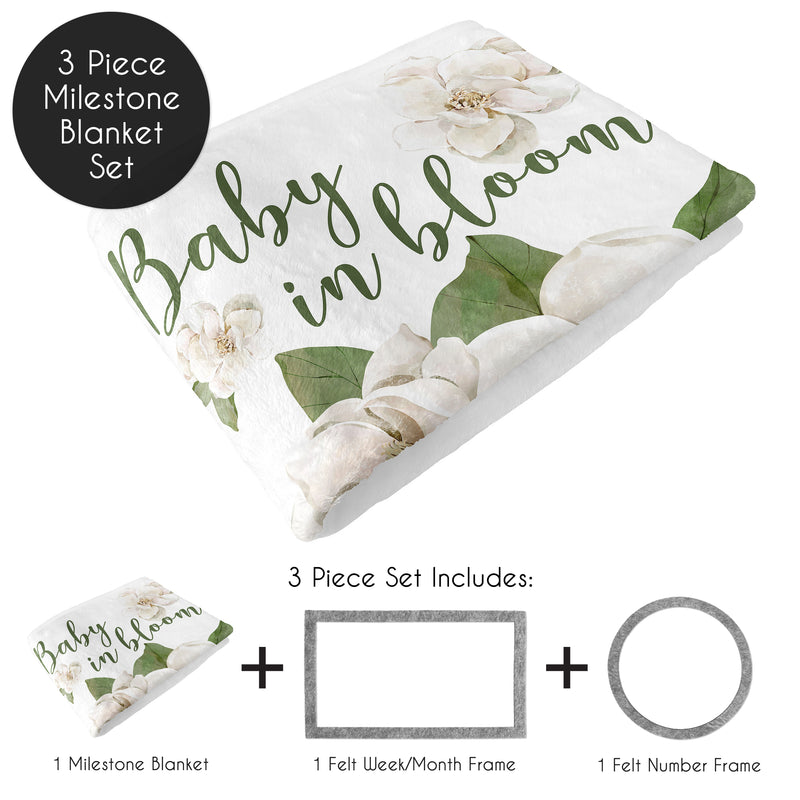 Sage Green and Ivory Watercolor Magnolia Collection Monthly Milestone Baby Blanket