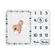 Mod Arrow Grey, Navy and Mint Collection Monthly Milestone Baby Blanket