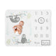 Sloth Aqua And Grey Collection Monthly Milestone Baby Blanket